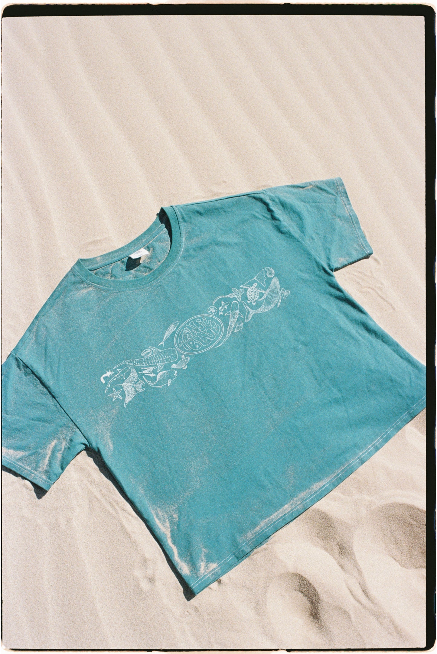 Ningaloo Tee - Teal