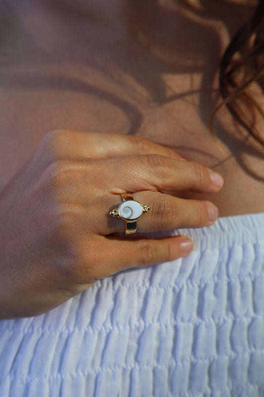 Operculum Angel Ring