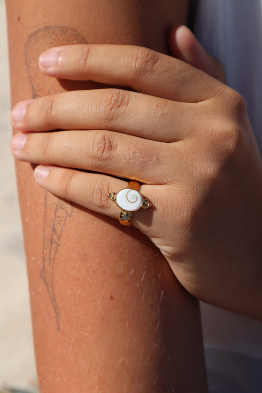 Operculum Angel Ring