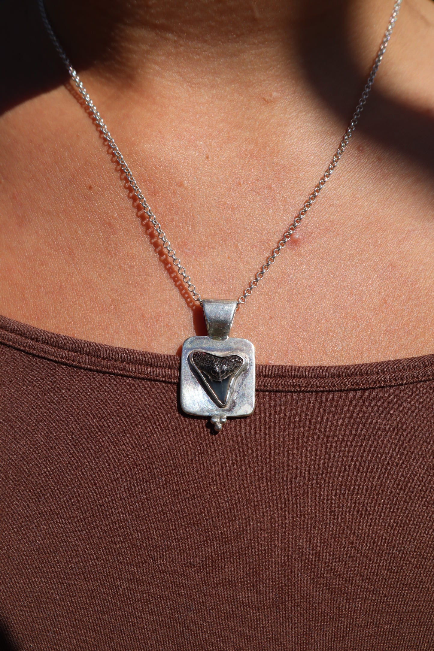 Shark Tooth Frame Pendant