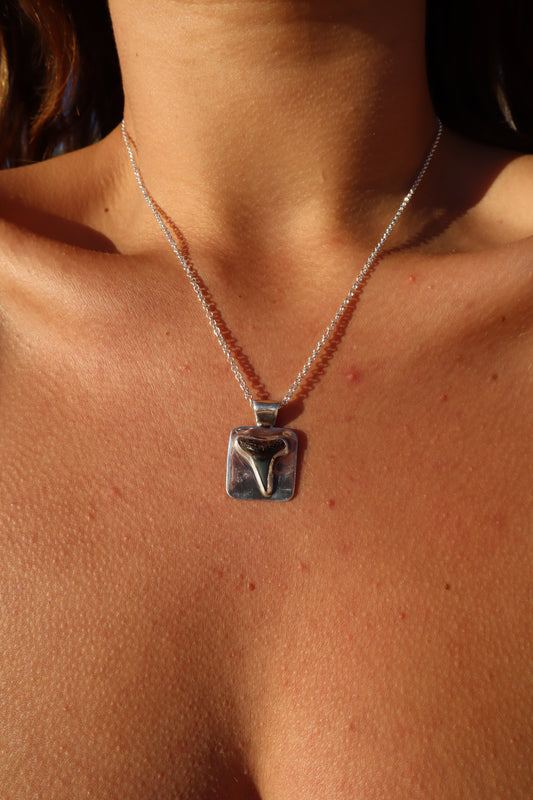 Shark Tooth Frame Pendant
