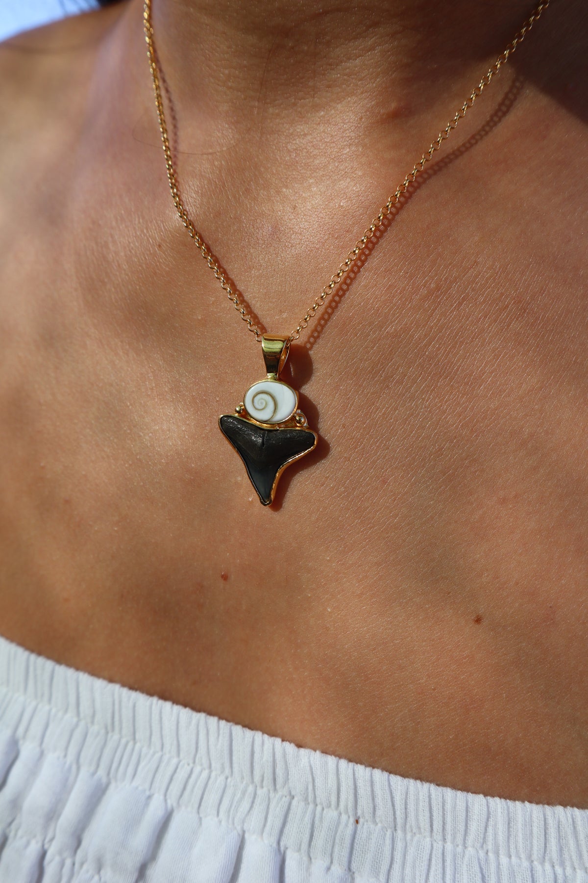 Operculum x Fossilised Shark Tooth Pendant