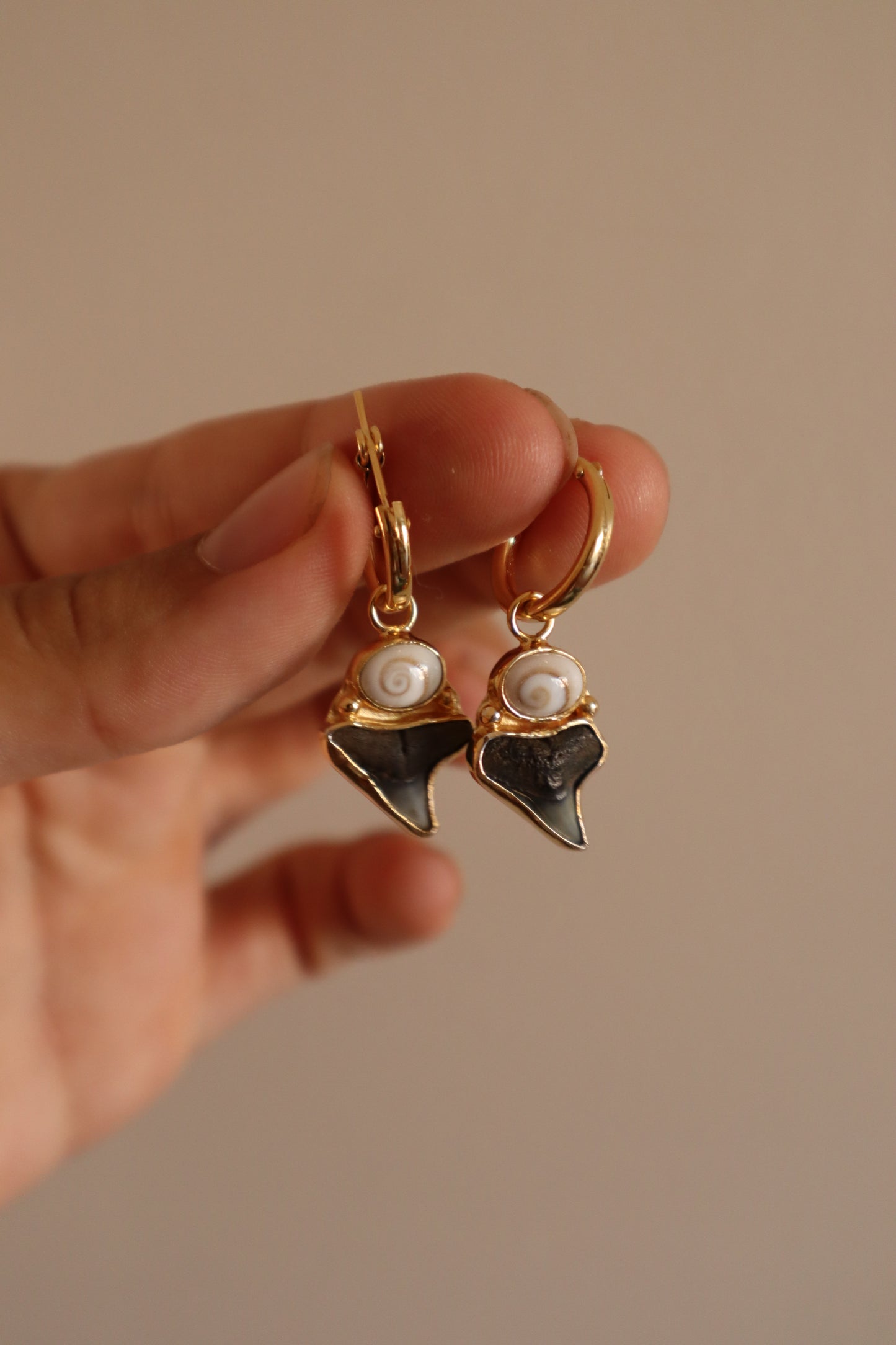 Shark Tooth x Operculum Hoops