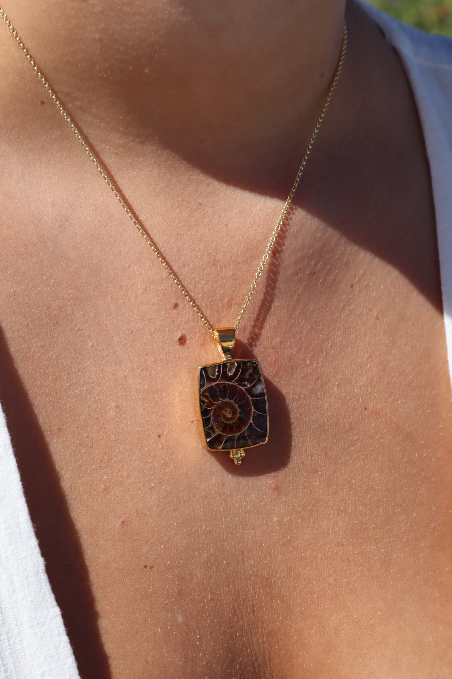 Ammonite Frame Pendant