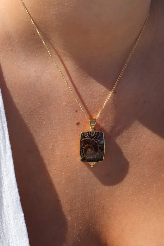 Ammonite Frame Pendant