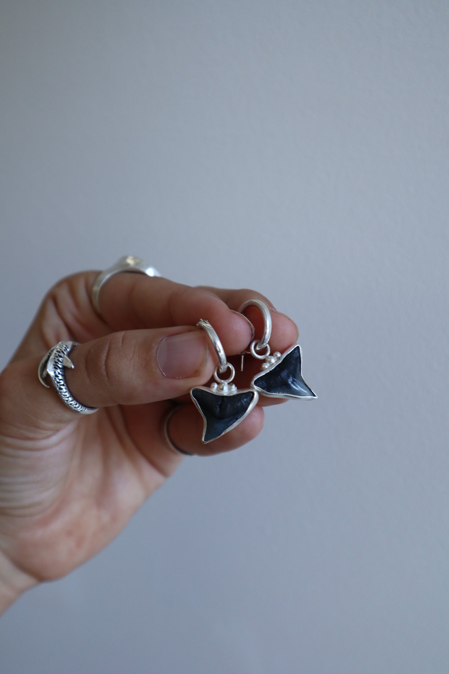 Fossilised Shark Tooth Hoops