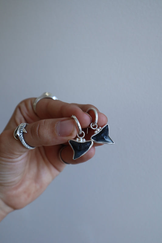 Fossilised Shark Tooth Hoops
