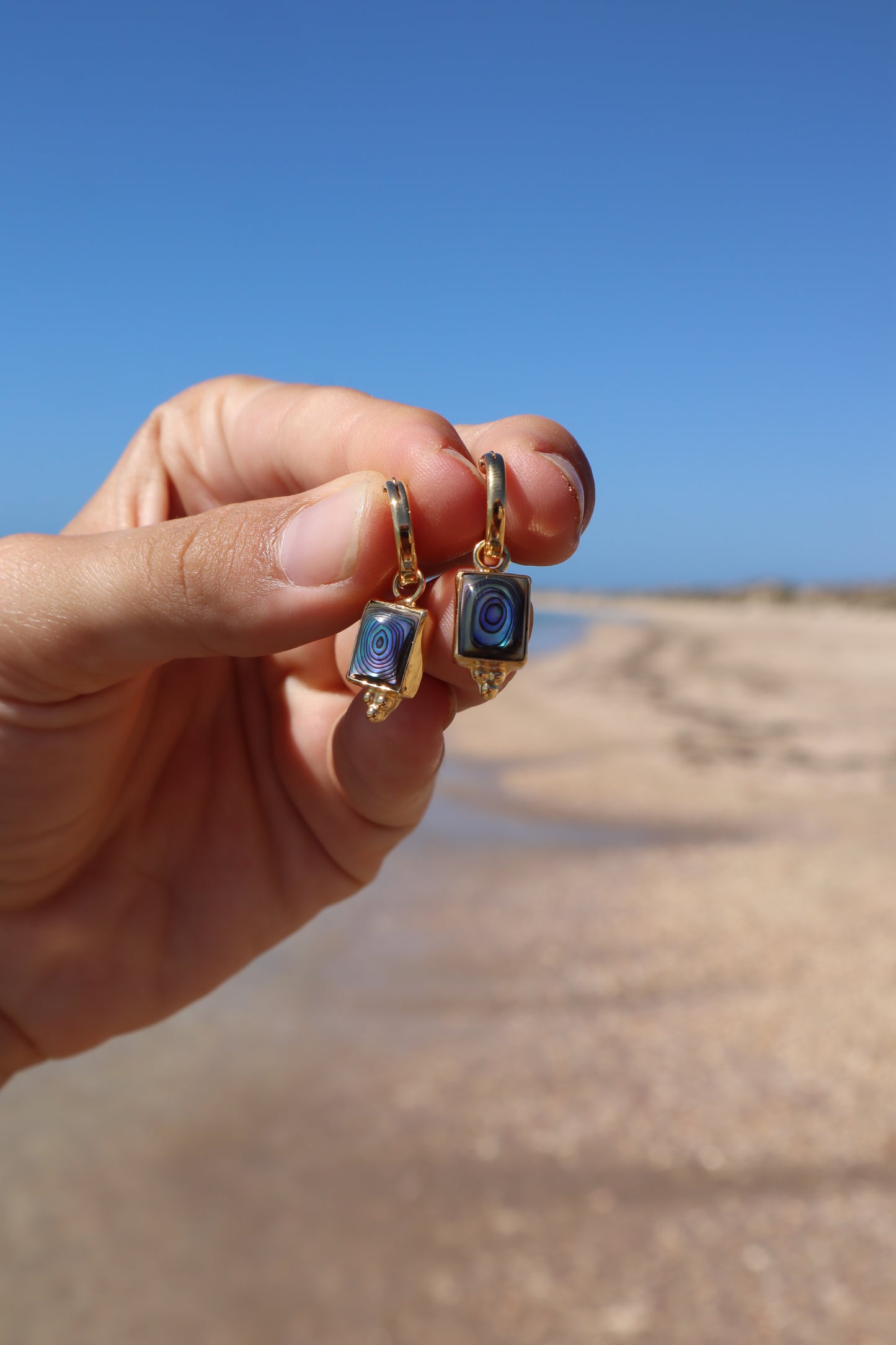 Abalone Hoops