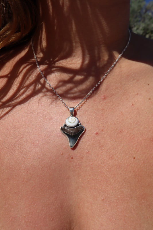 Operculum x Shark Tooth Pendant