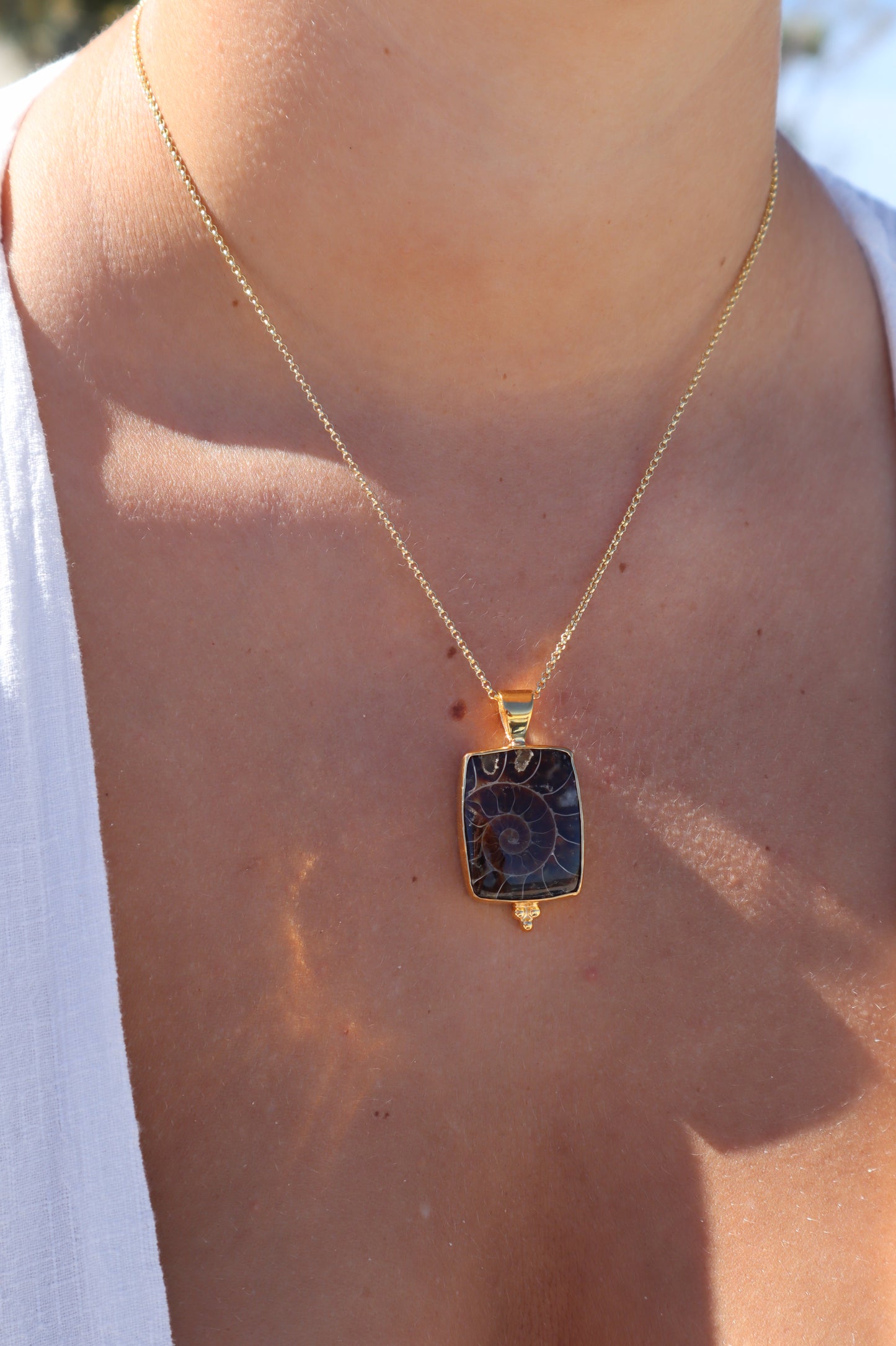 Ammonite Frame Pendant