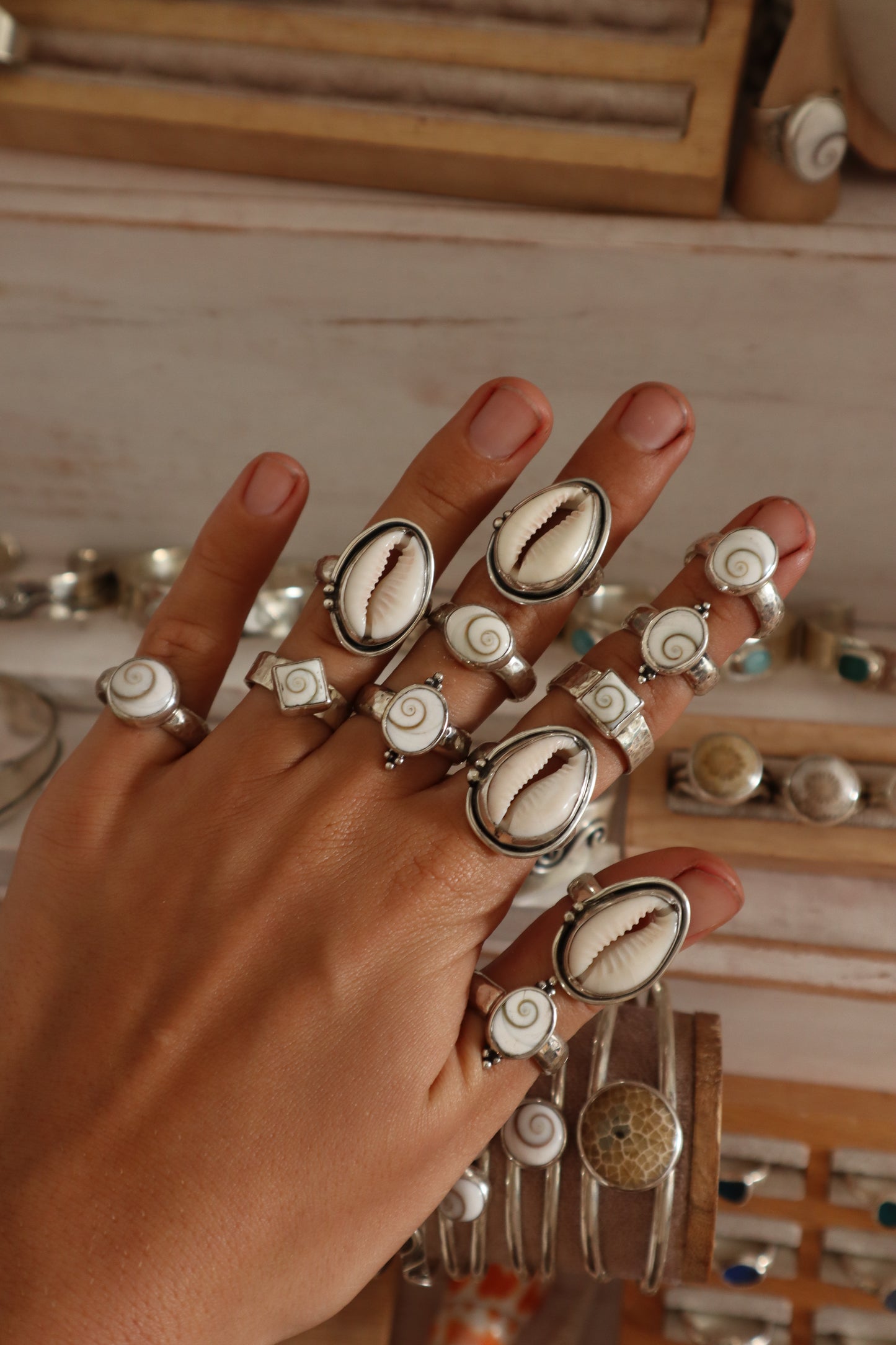 Operculum Angel Ring