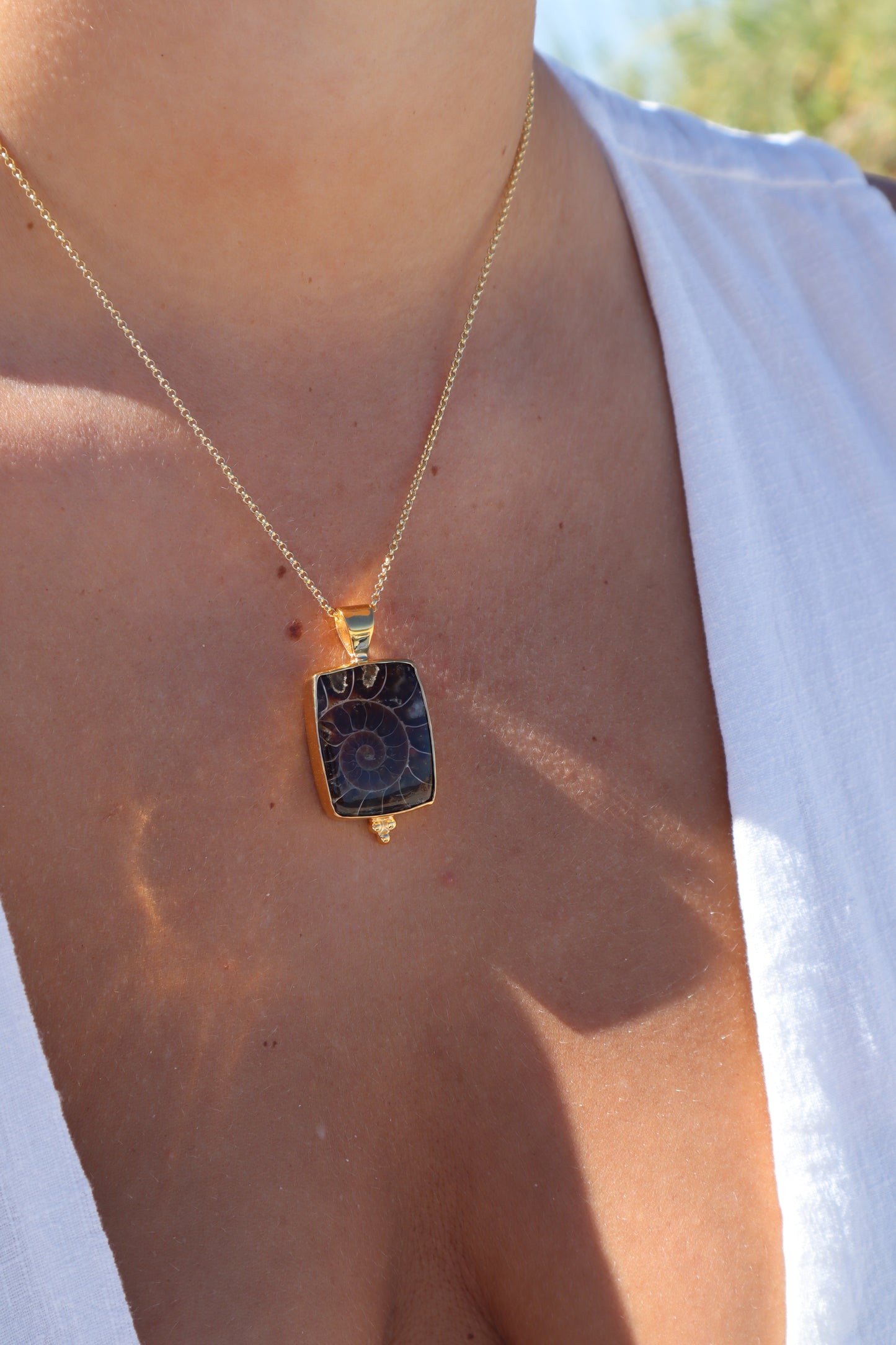 Ammonite Frame Pendant