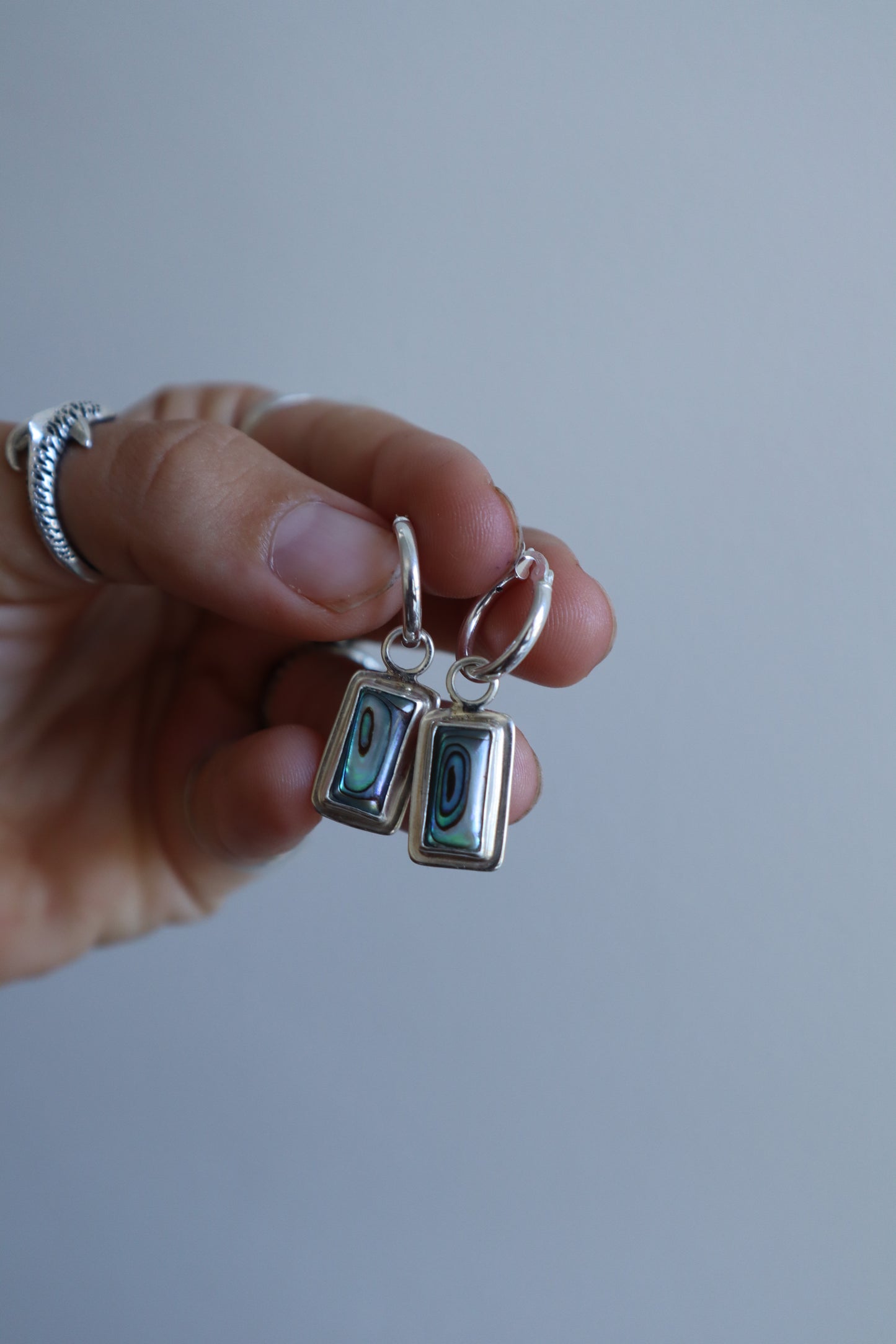 Abalone frame Hoops
