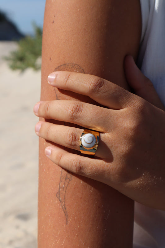 Chunky Operculum Ring SIZE 8 - P 1/2