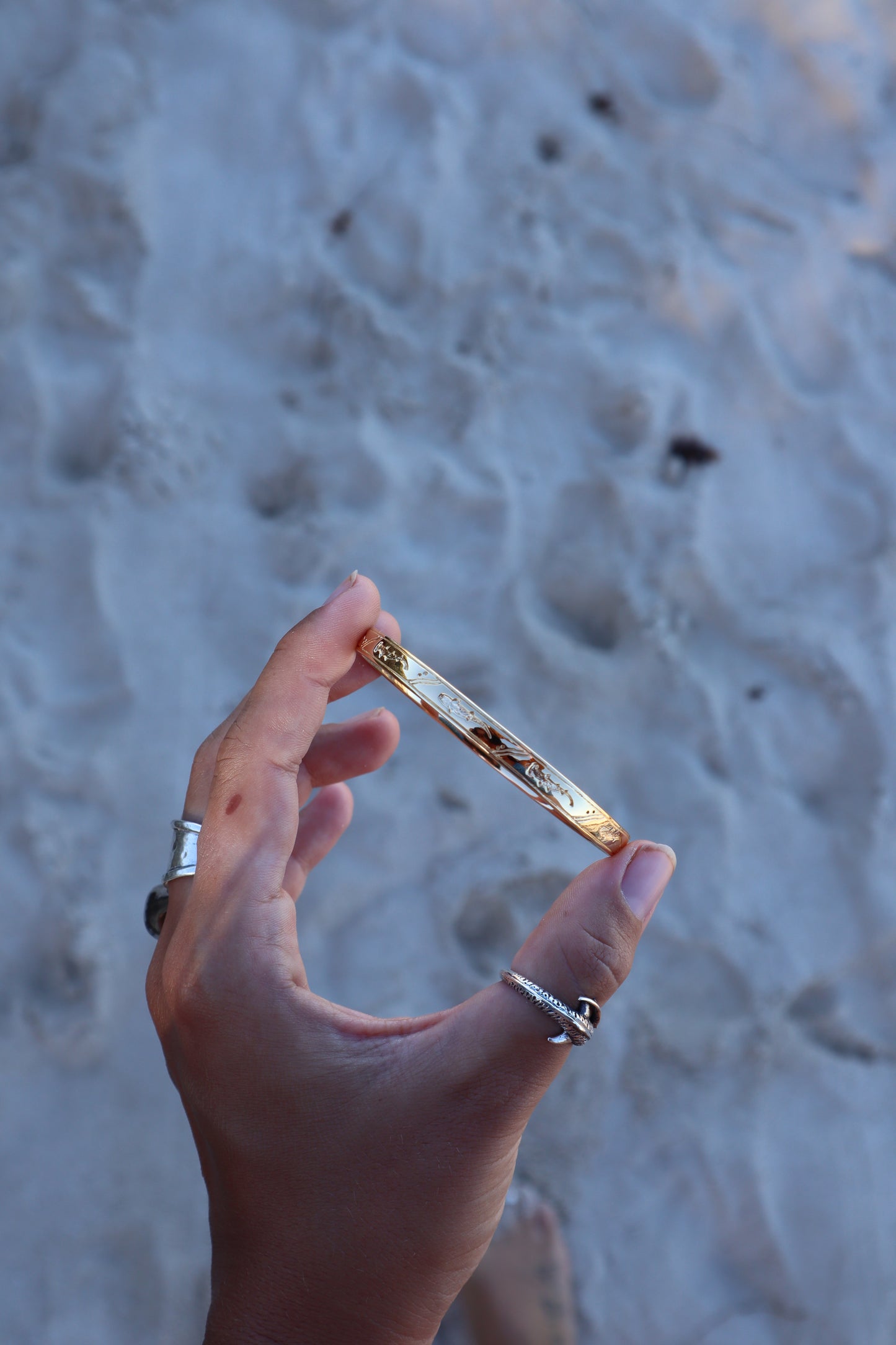 Shark Lovers Bangle