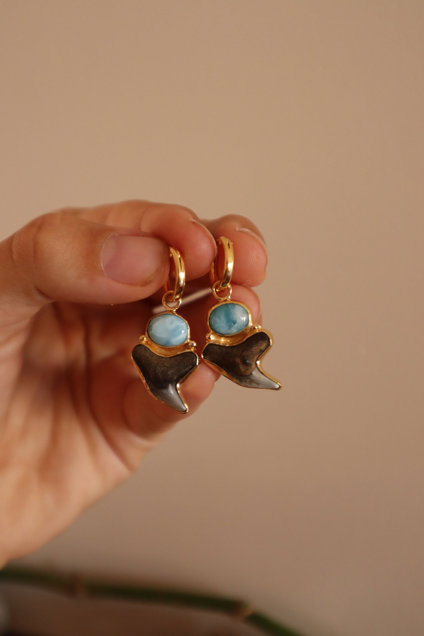 Shark Tooth x Larimar Hoops