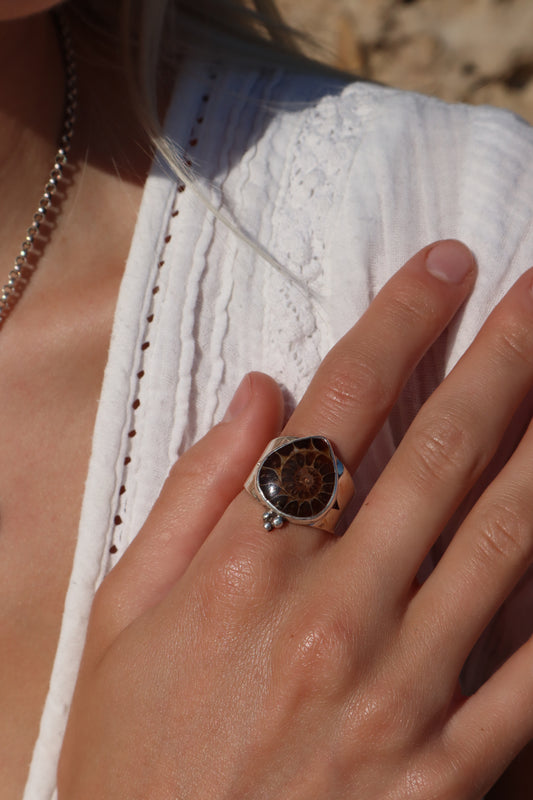 Ammonite Teardrop Ring SIZE T 1/2 - 10