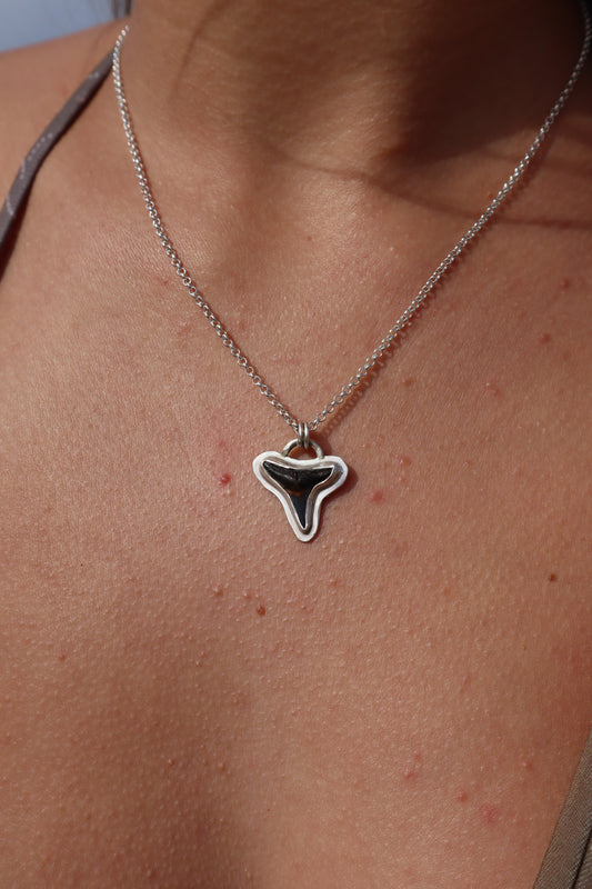 Shark Tooth Frame Pendant
