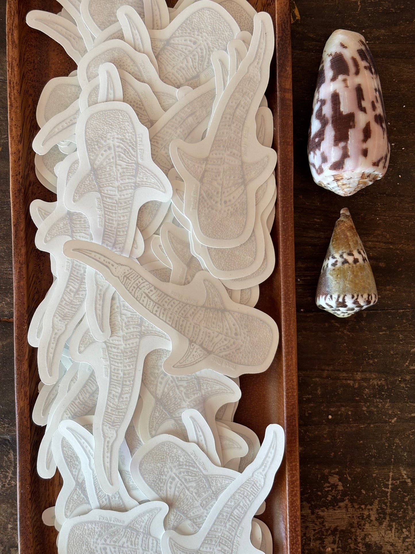 Clear Whale Shark Sticker