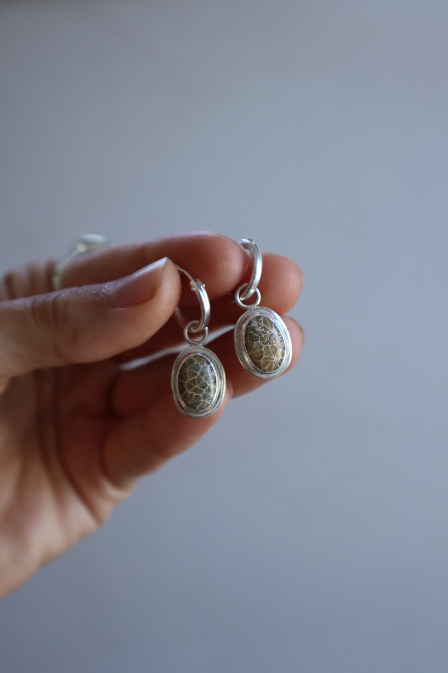 Fossilised Coral Hoops