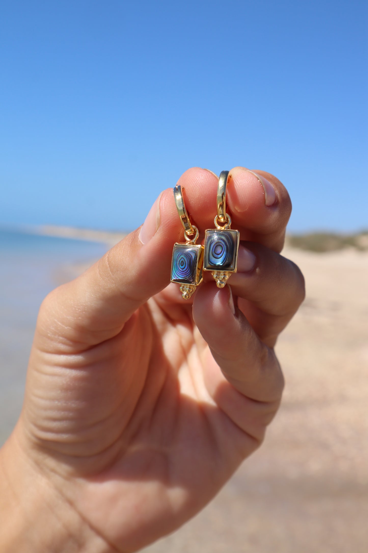 Abalone Hoops