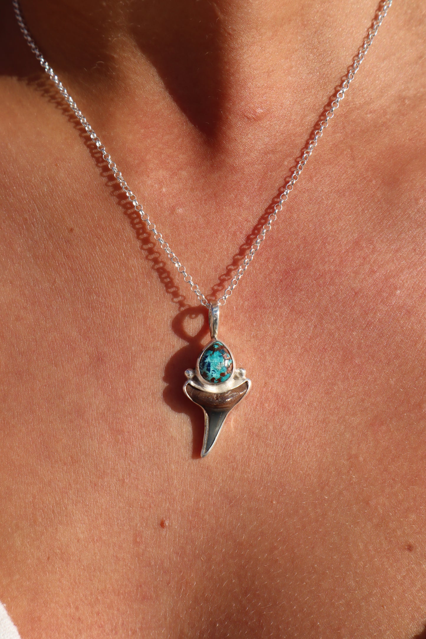 Shattukite Azurite x Fossilised Shark Tooth Pendant
