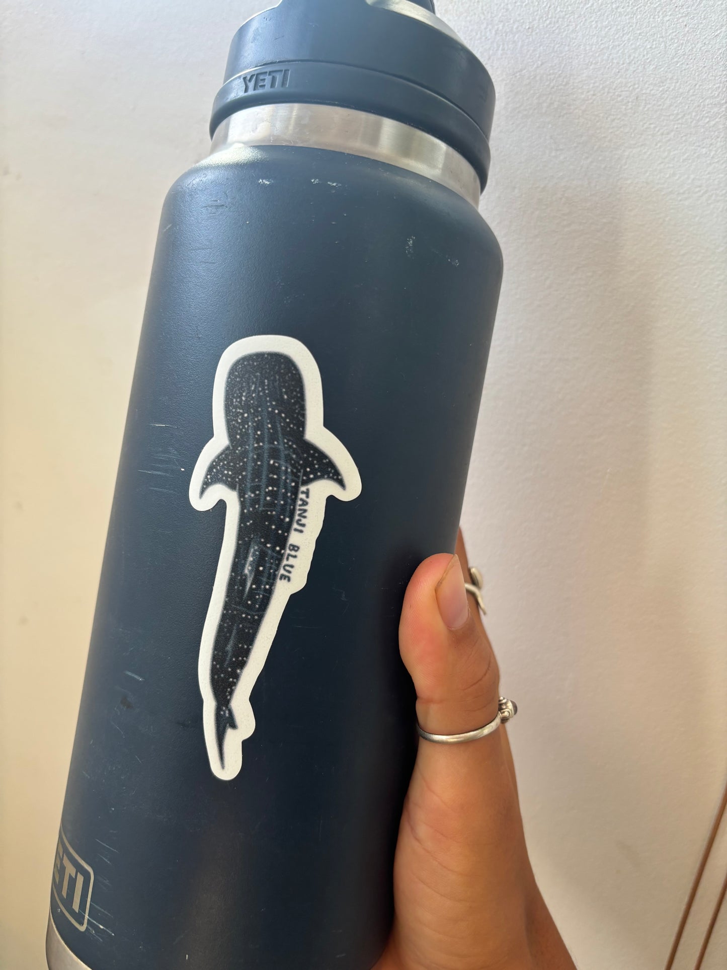 Whale Shark Sticker
