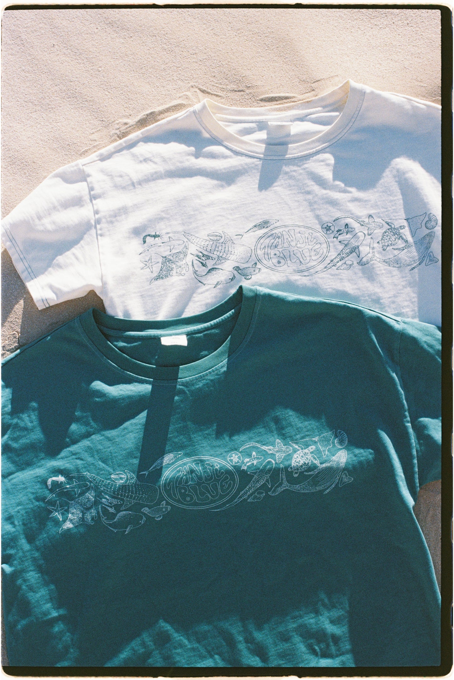 Ningaloo Tee - Cream
