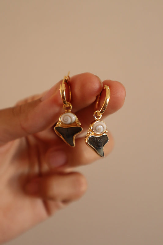 Shark Tooth x Operculum Hoops
