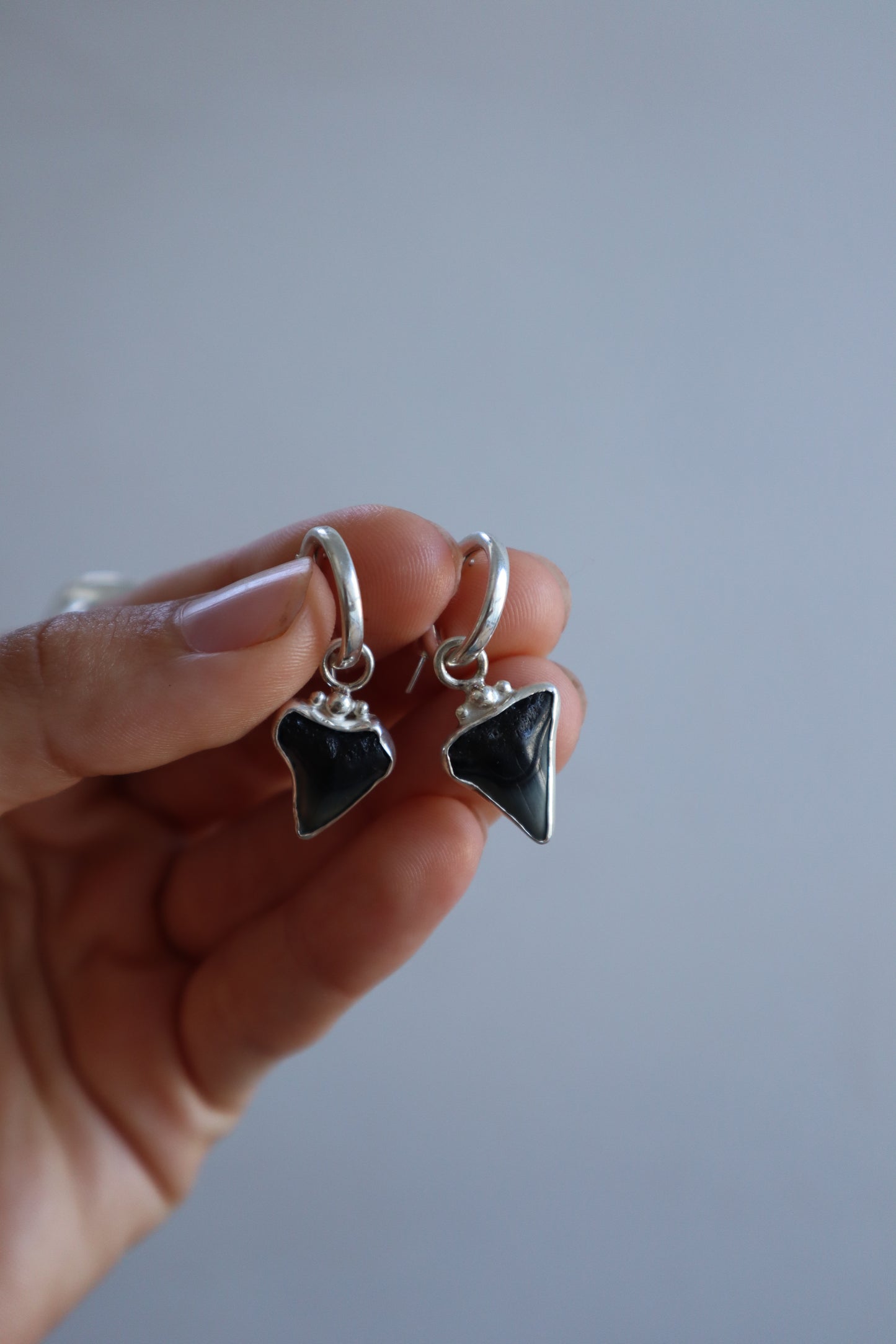Shark Tooth Earrings