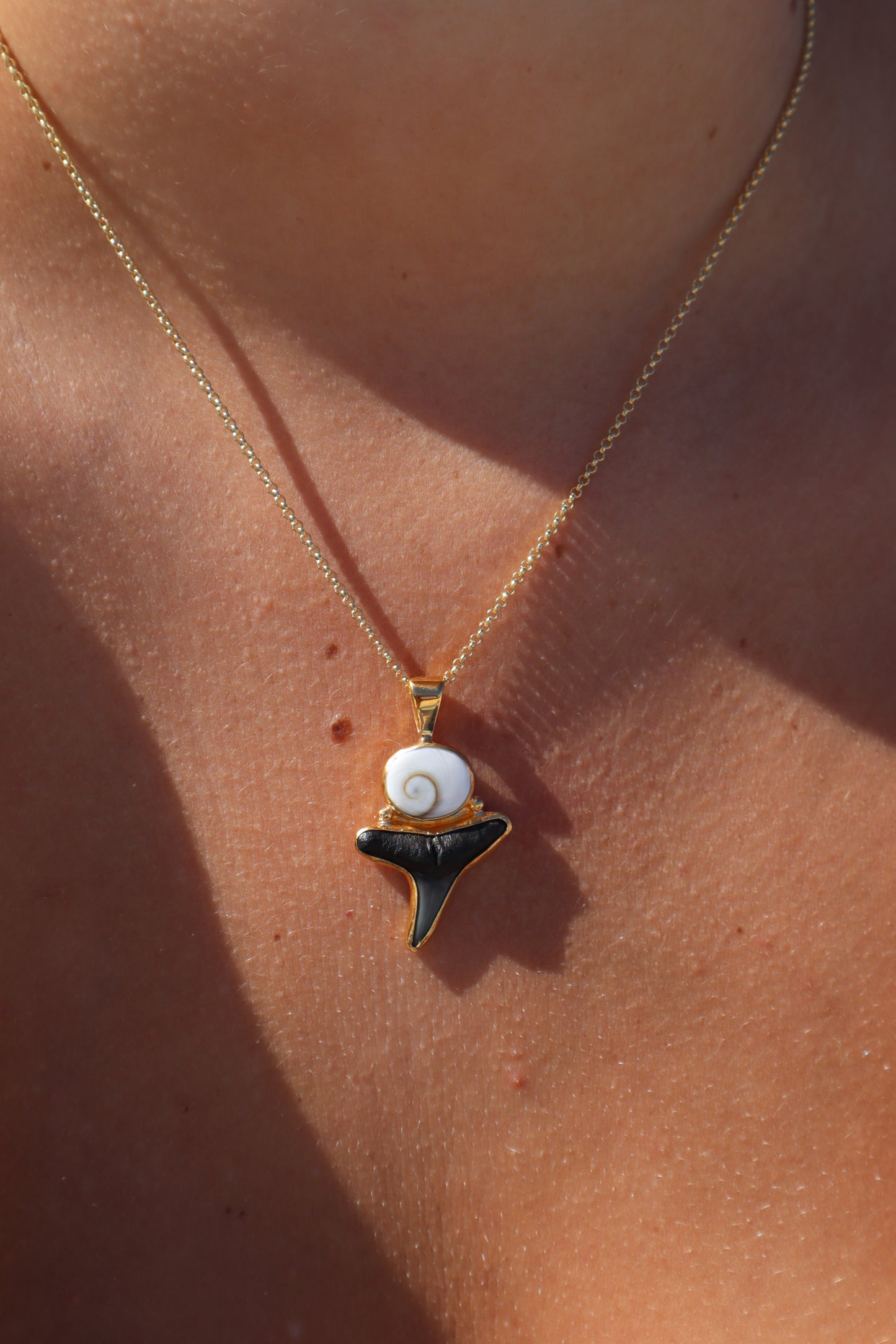 Operculum x Fossilised Shark Tooth Pendant