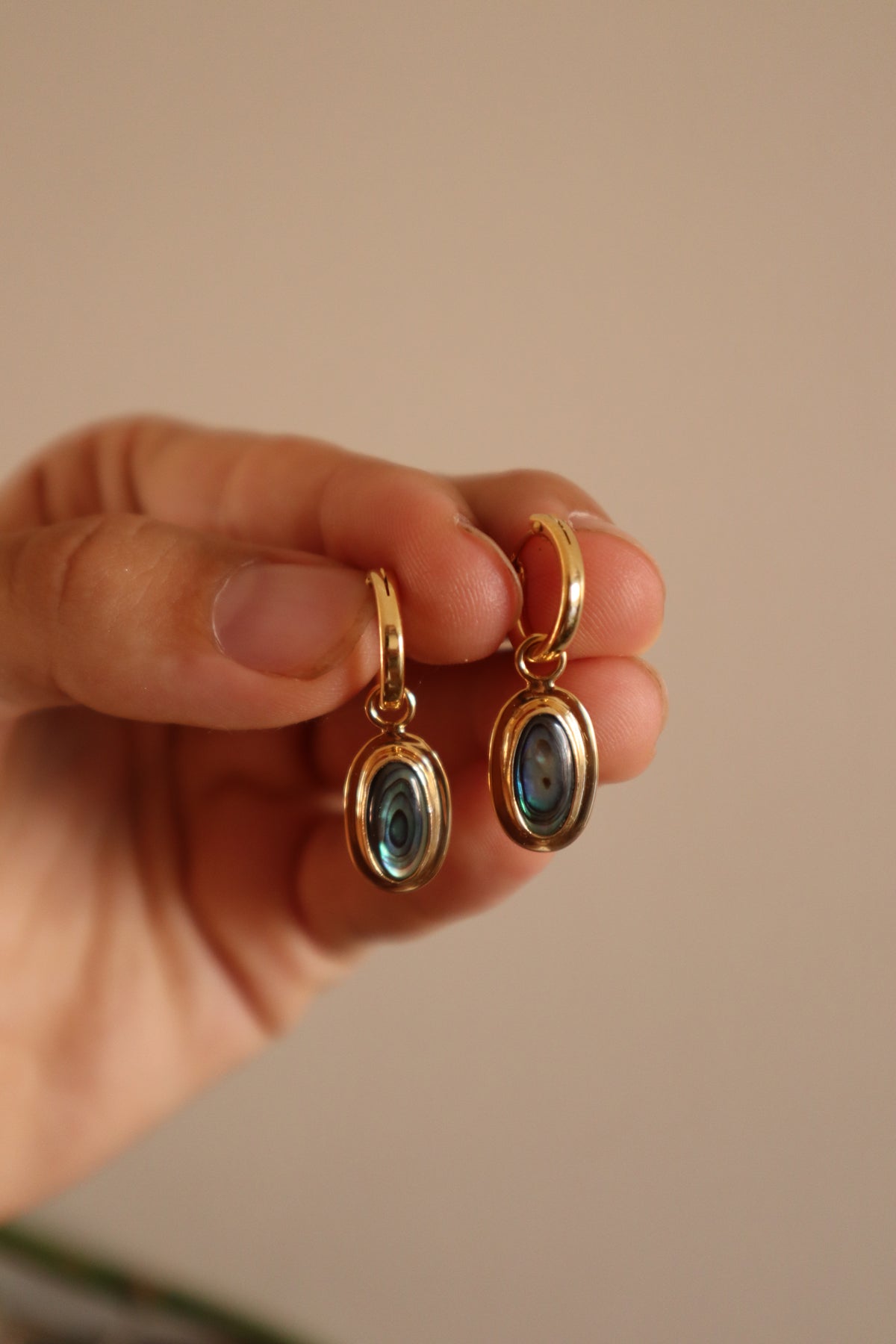 Abalone Hoops