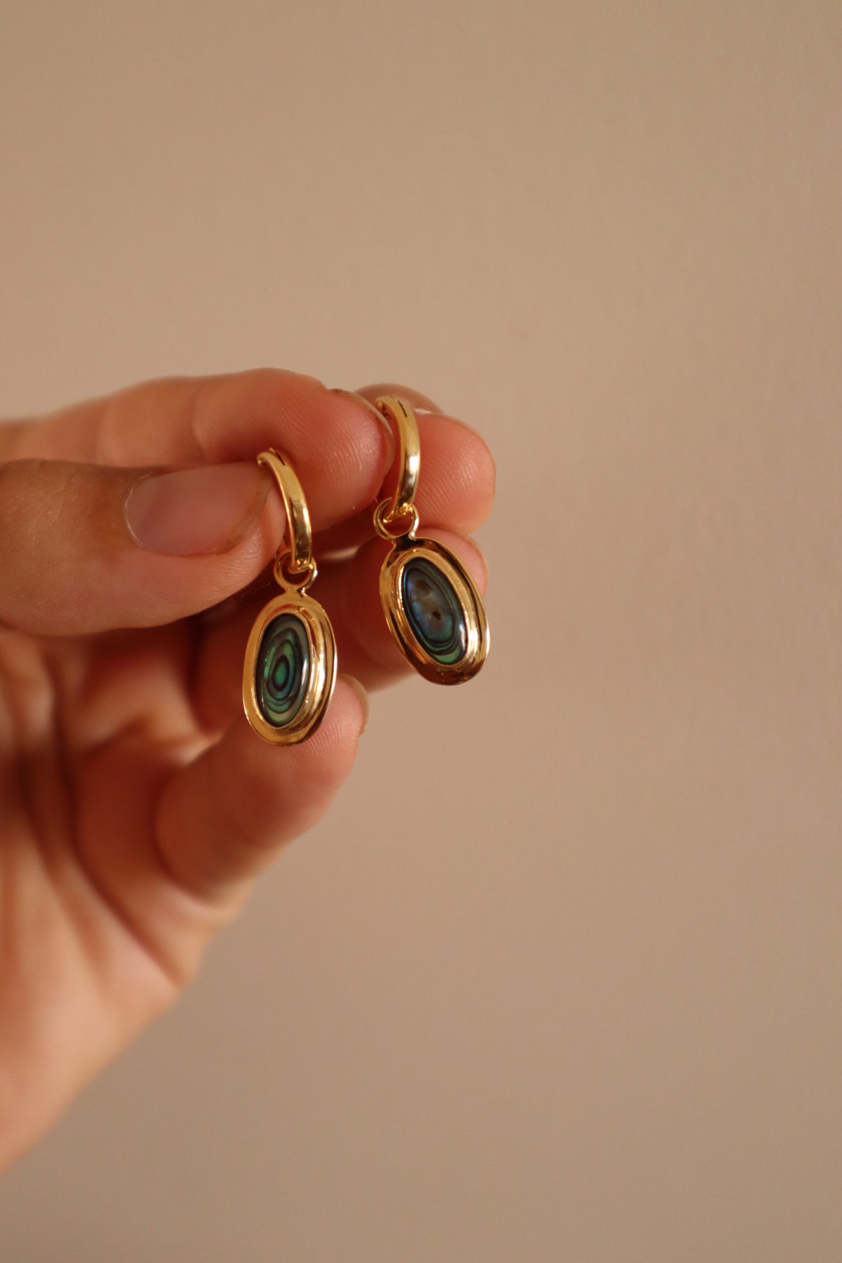 Abalone Hoops